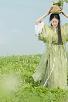 电视连续剧黑玫瑰